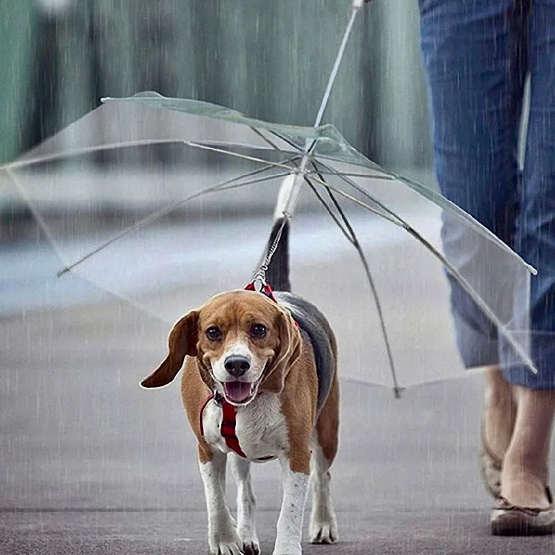 Pet Umbrella Leash