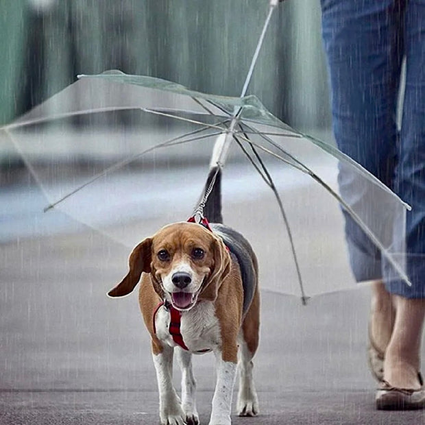Pet Umbrella Leash