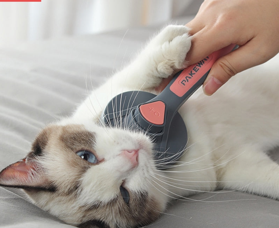 Premium Grooming Pet Brush