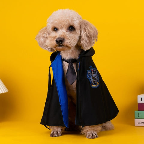 Pet Cosplay Harry Potter Set